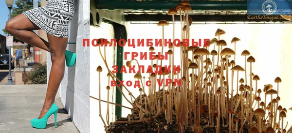 apvp Верхний Тагил