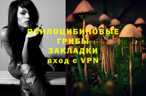 a pvp Богородск