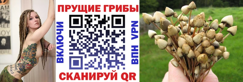 Галлюциногенные грибы MAGIC MUSHROOMS  Брюховецкая 